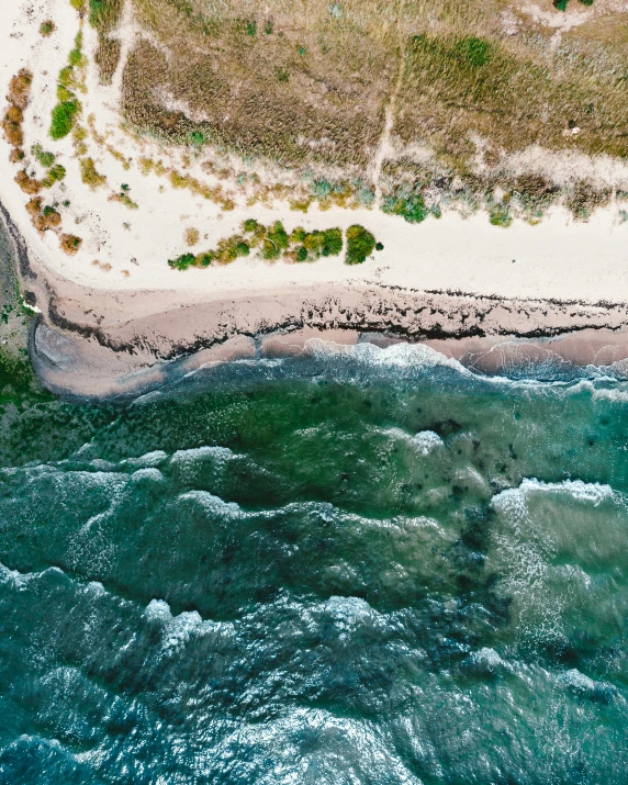 aerial view of a beach, coastline and sea with sand and trees