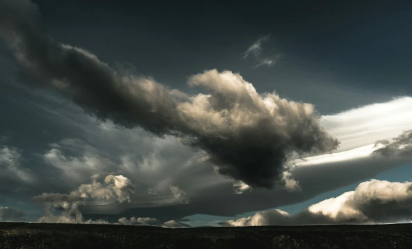 a group of trees sitting in front of clouds