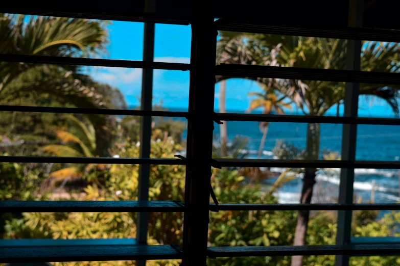 the open window to a room with a view of a palm tree