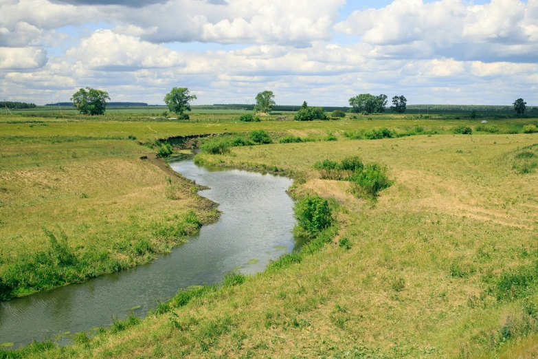 a horse grazing on the grass with a river running through it