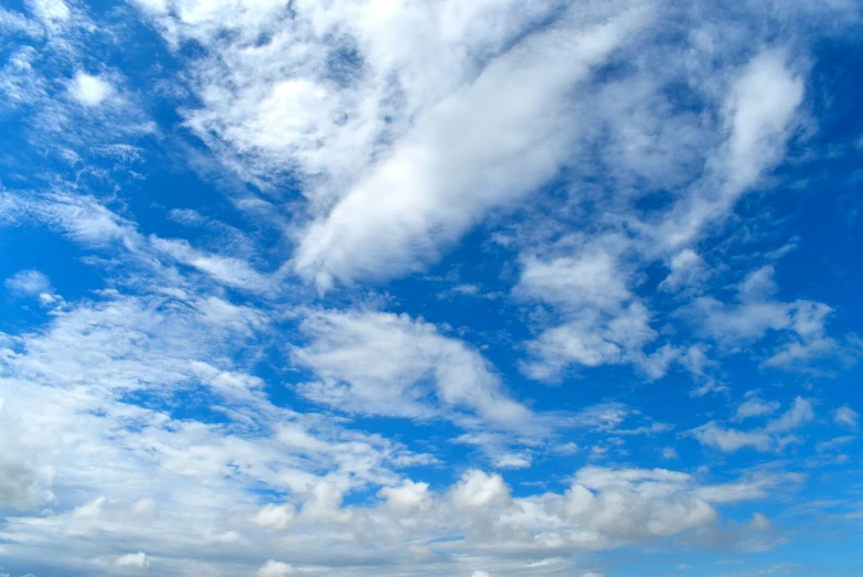 the beach is very wide and there is a white bird flying in the blue sky