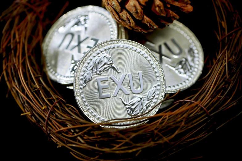 three pound sterling coins sit in a nest next to a pine cone