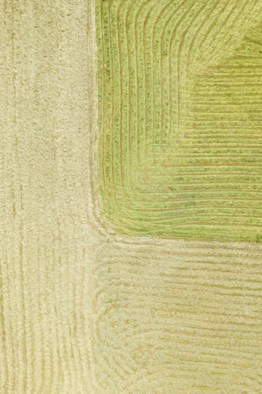 a closeup of a green area in a field