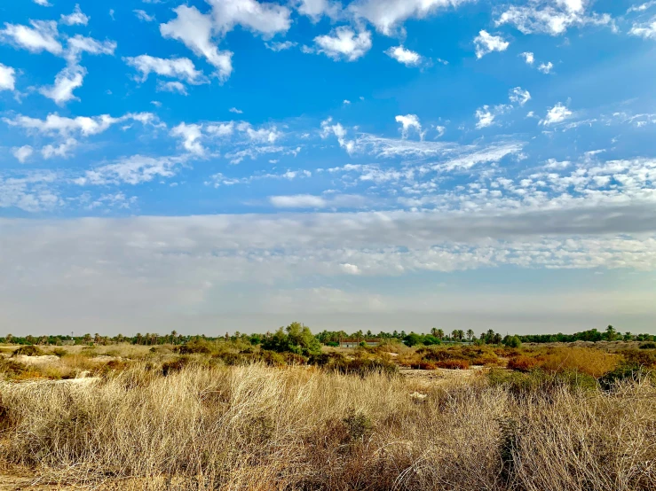 the sky above a dirt plain with weeds and trees