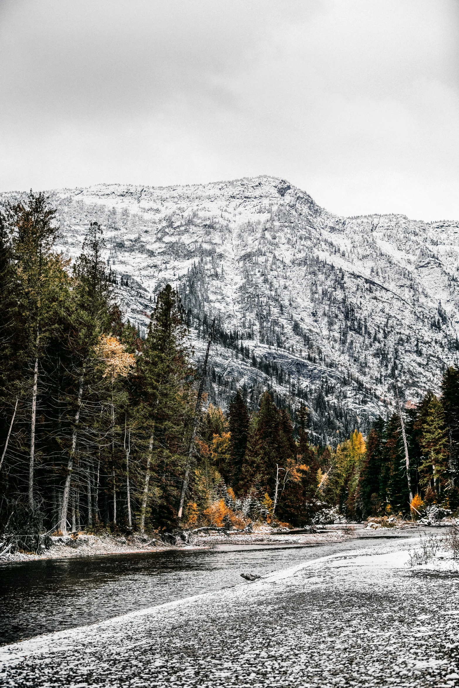 some snow trees and a hill in the distance