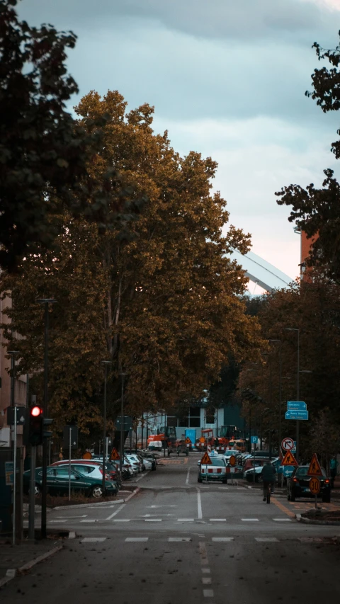 an empty street that is lined with trees