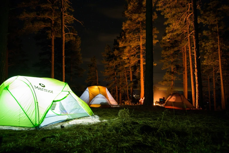 the tents glow bright as they sit in the woods