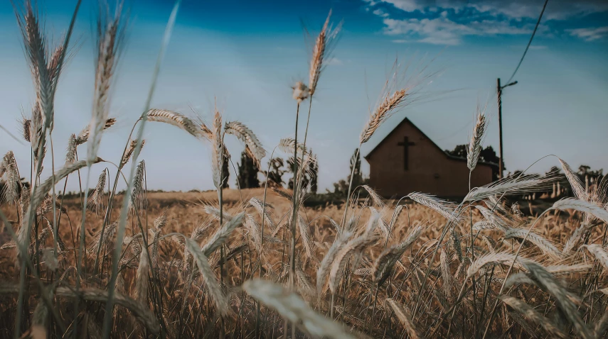 a field with some grass and a house in the distance