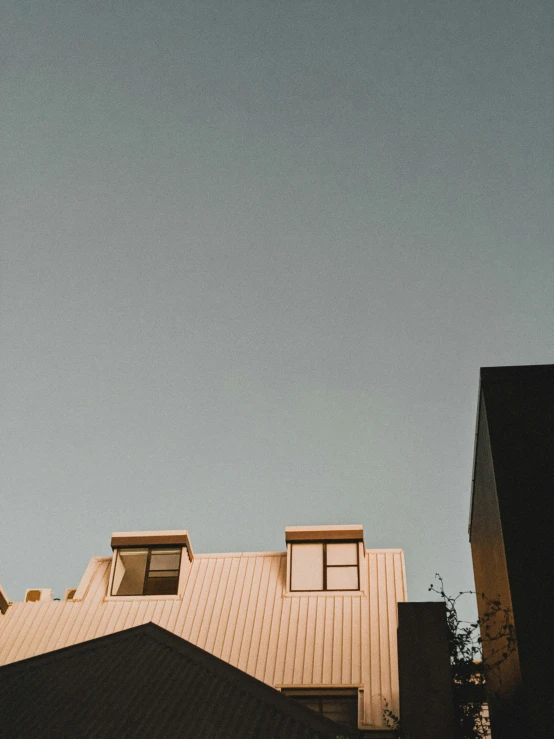 a couple of birds flying over a building