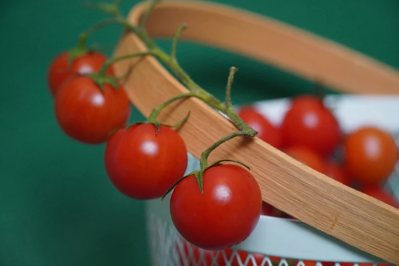 small, shiny tomatoes hanging on a wooden handle
