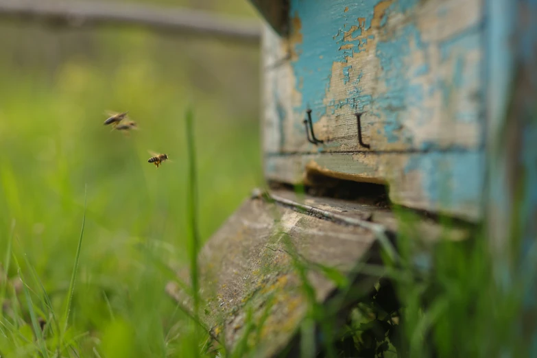 a closeup of a piece of furniture that has a bug crawling on the bottom