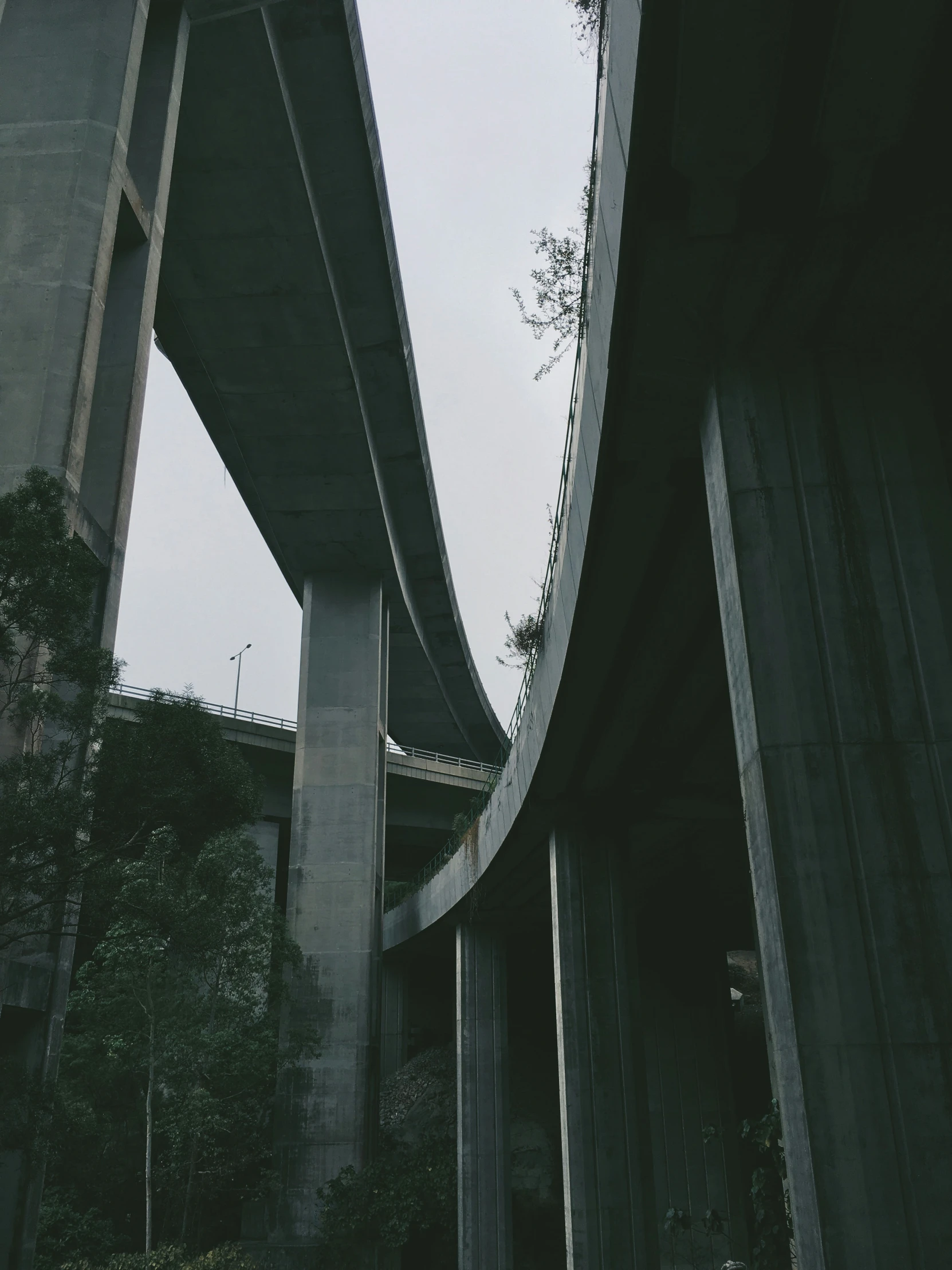 two very large freeway bridges with some trees on both sides