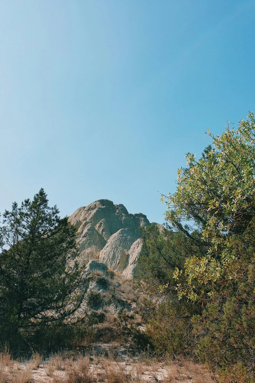 the view from behind the trees of the mountains