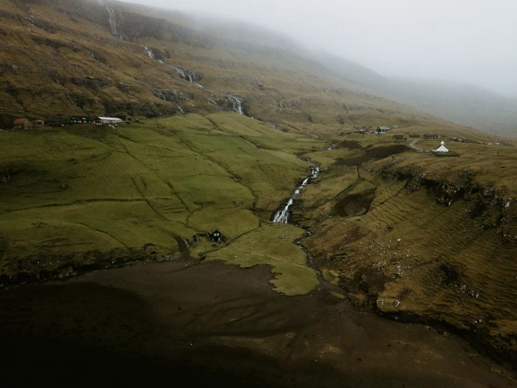 the foggy countryside has been dotted with various small trees