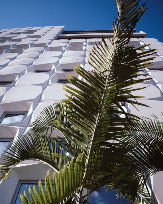 close up view of the exterior facade of an architectural building