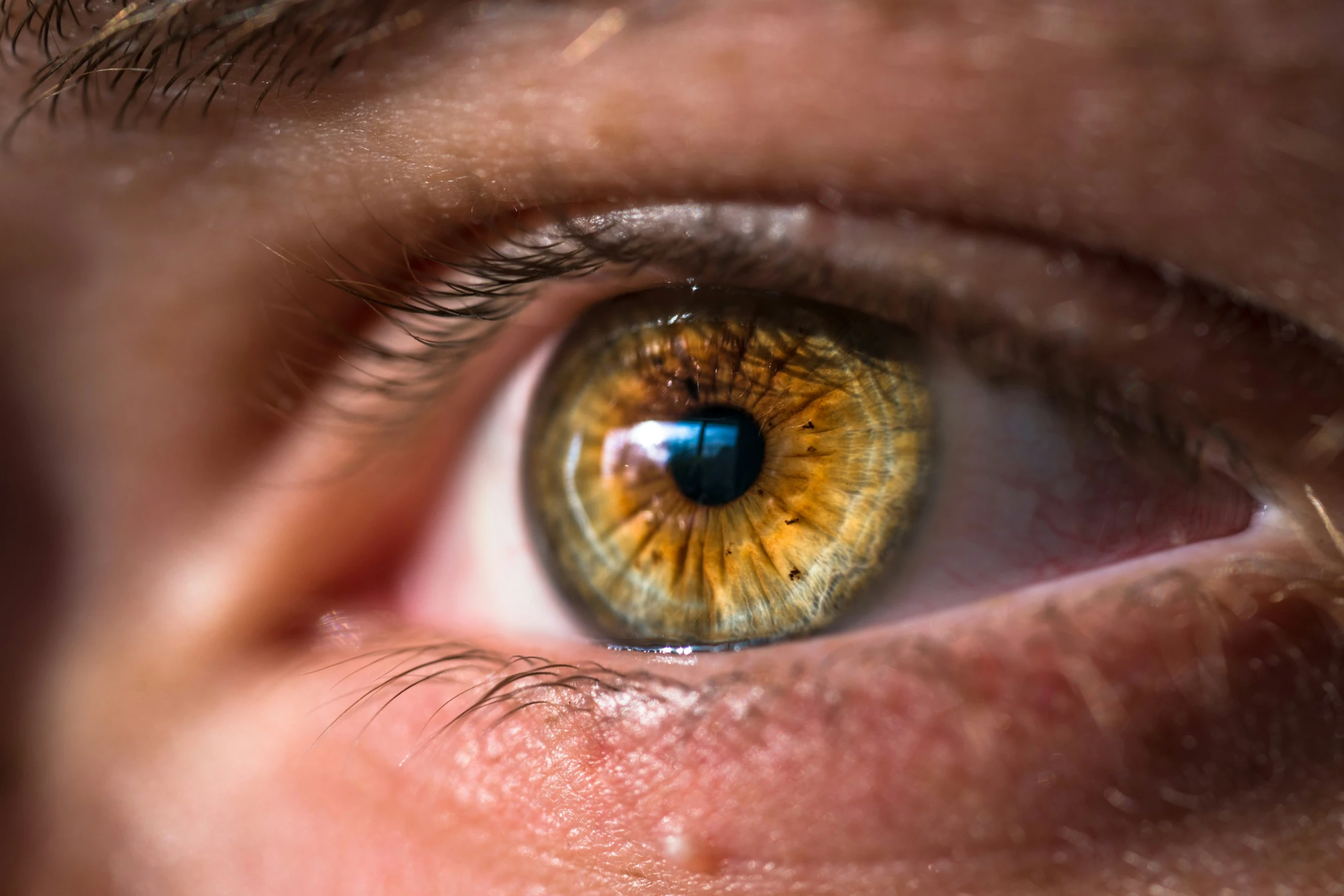 a green eyed person has yellow and blue iris