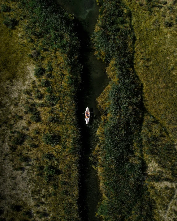 a boat in the middle of the water and some grass