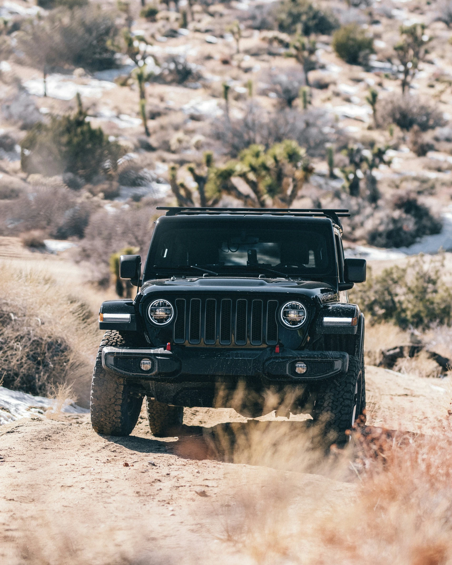 jeep on dirt road in desert with cacti