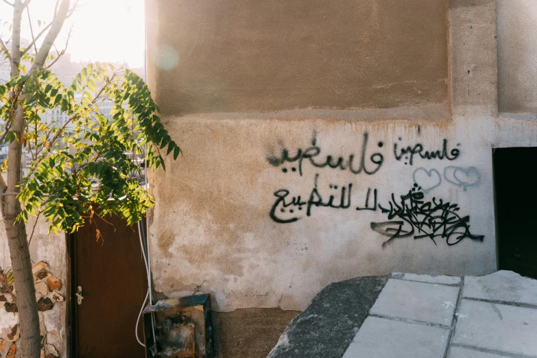 graffiti on the wall near a tree and suitcase