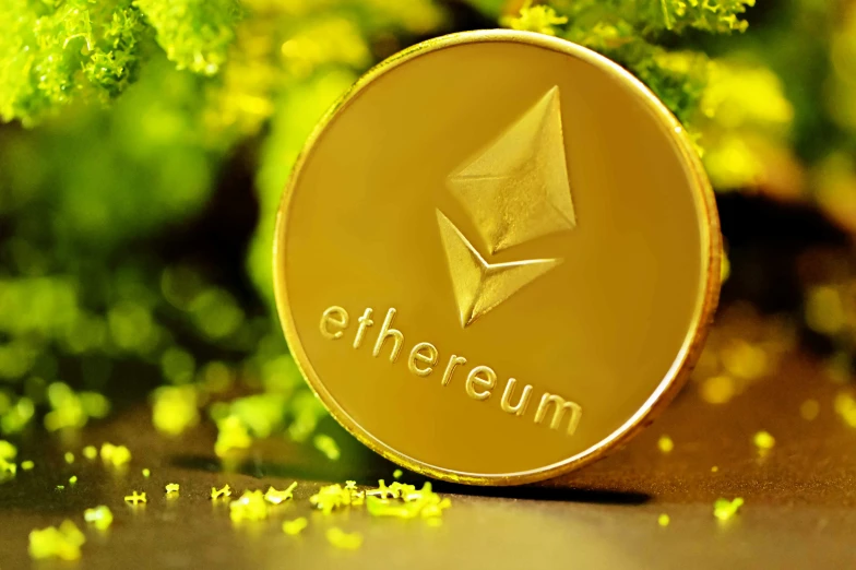 ethereum logo in front of green plants