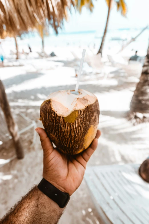 person holding up an coconut drink in front of the beach