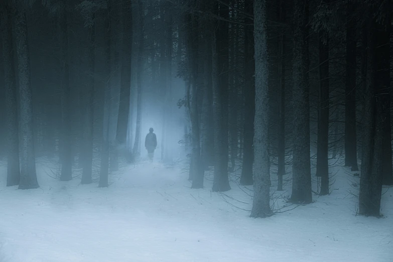 a man walking along a path in the forest at night