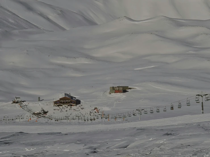 several trees in a snowy mountain with a house in the distance