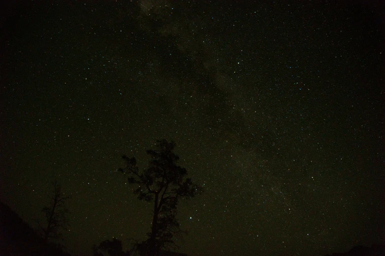 a very dark sky and tree with stars in the distance