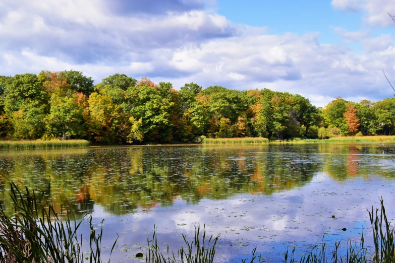 a lake surrounded by trees with blue sky and clouds in the background