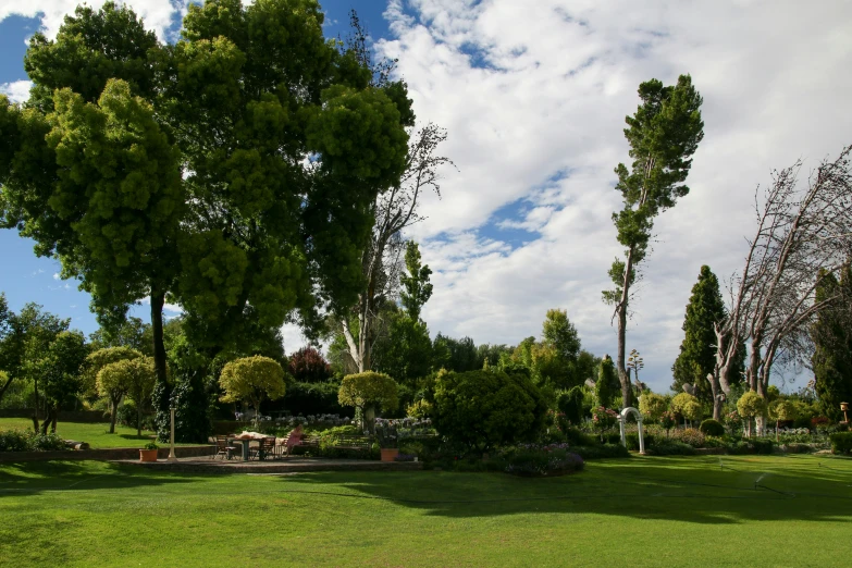 a park with trees, chairs and lawn furniture in it