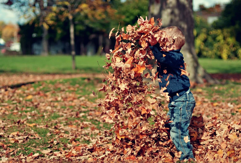 a small child is trying to pick up leaves in the park