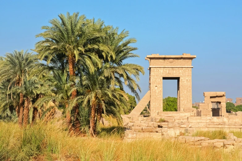 two palm trees in front of a stone structure