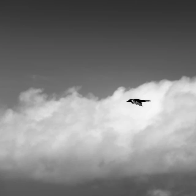 a black and white po of an airplane flying