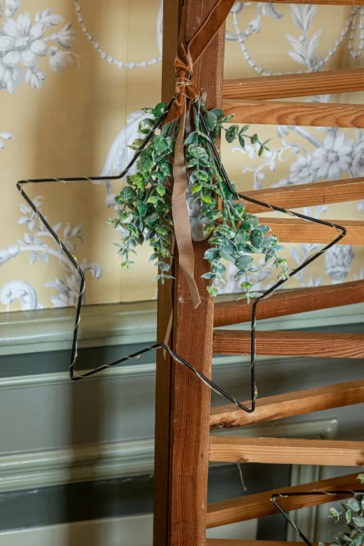 a house plant hangs from a wooden beam