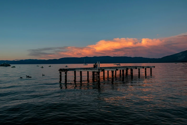 the sunset glows on the ocean with swans swimming