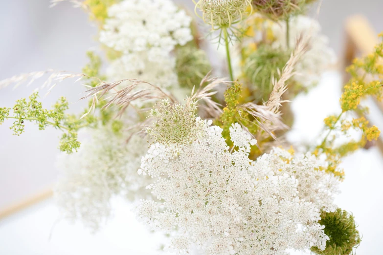 a cluster of small white flowers that are in a vase