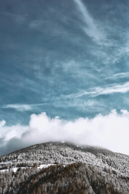 the snow covered mountains and trees under a blue sky