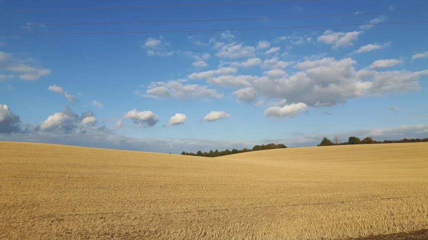 an area of grass that is in the field