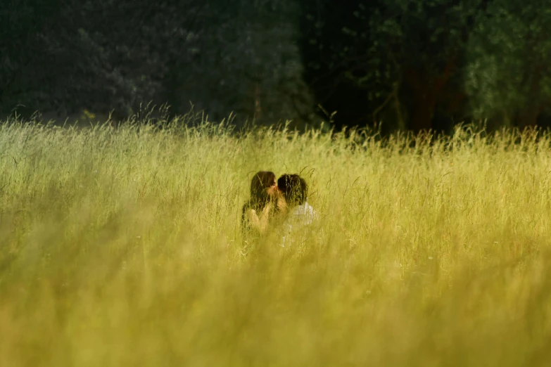 the couple is hugging in tall grass