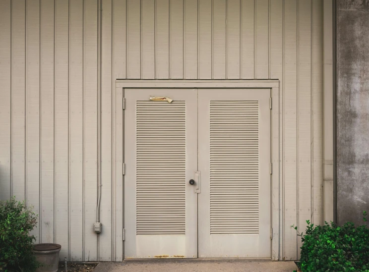 two potted plants sitting by a closed door