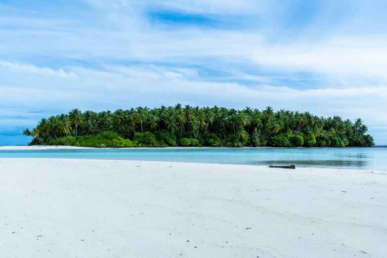 a deserted beach with white sand and trees