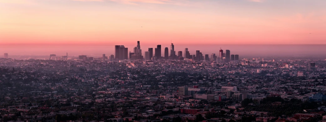 a view of a city with trees and buildings during a purple sunset