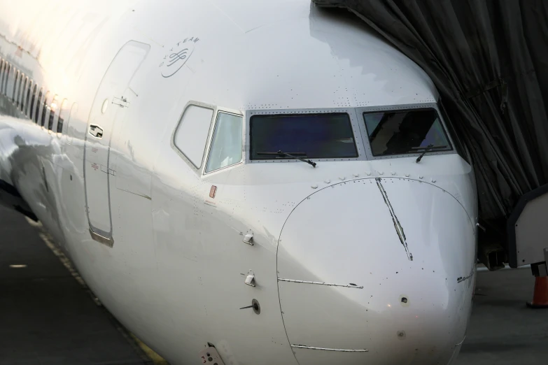 closeup of the nose and fuselage of an airplane