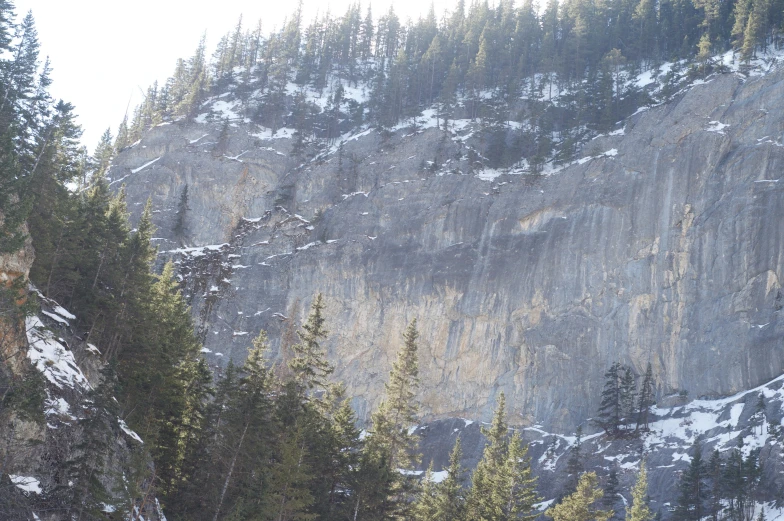 a snow covered mountain cliff next to trees