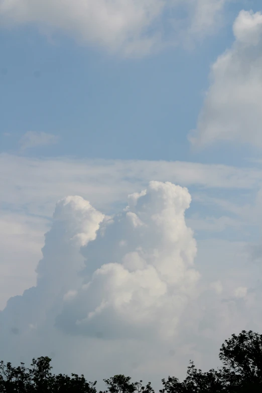 a large cloud hangs in the sky between some trees