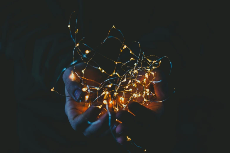 a man holding up christmas lights and wire