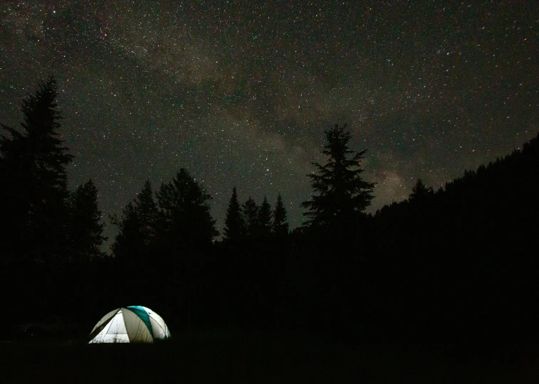 a green and white tent in a dark forest