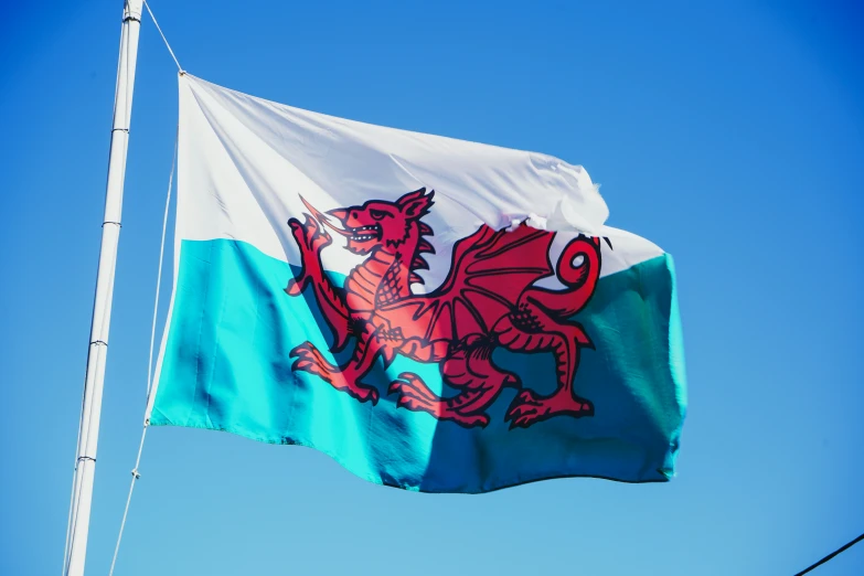 a blue and white flag with a dragon on it