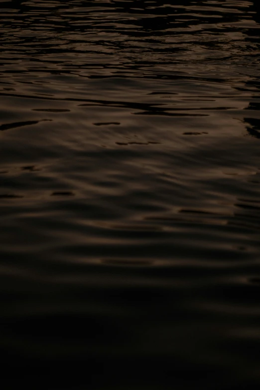 the back side of a boat on calm water