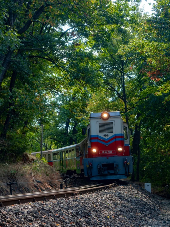 a red and white train traveling down tracks near a forest